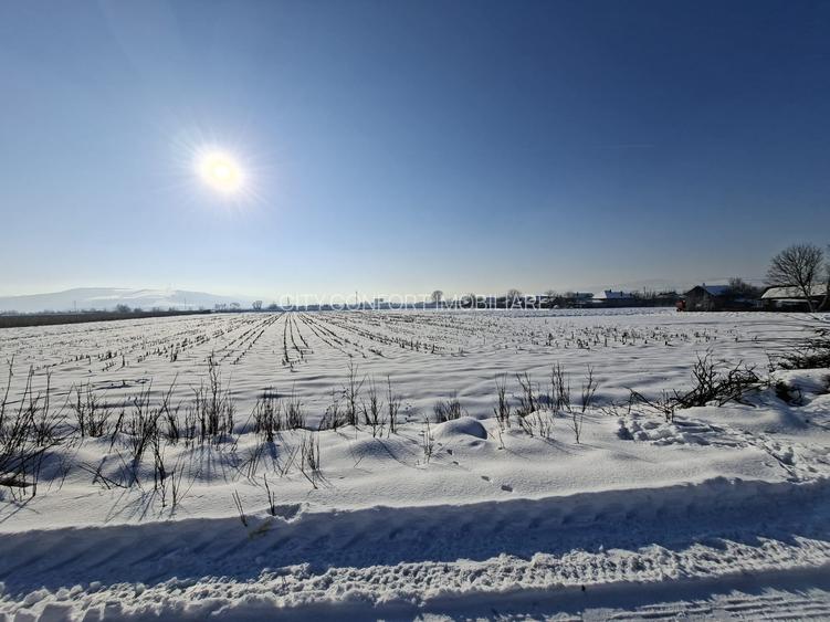 Teren Intravilan De Vanzare In Gherla - 2