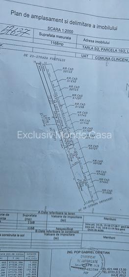Domnești- Str.Fortului, 742mp, gaze, lumină - 6