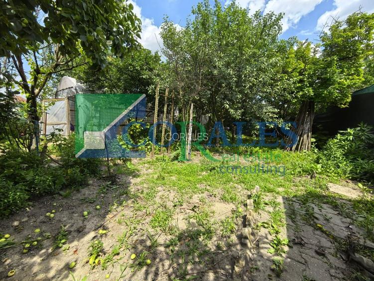 In apropiere de Profi!  Teren Generos! - 9