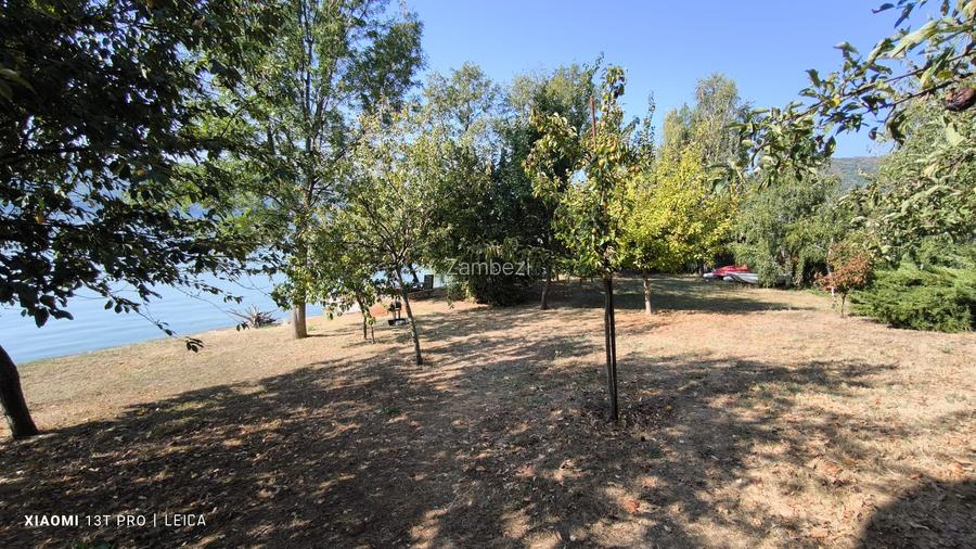 Afacerea Ideala- Vila cu deschidere la Dunare 50 ml cu Ponton amenajat, ESELNIT - 9