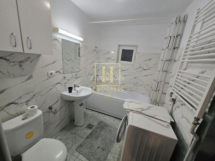 Apartament 1 camera Dec + mansarda 50 mp Nicolina Lidl 380 euro - 4