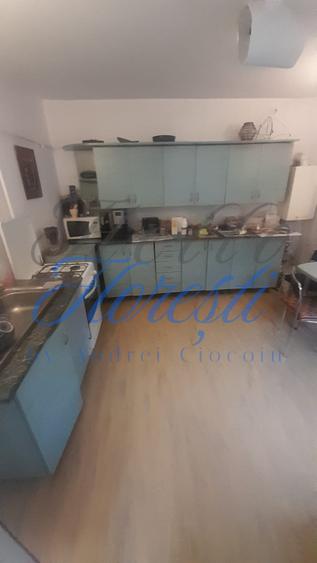 Casa individuala 2 camere 91 mp cu gradina 701 mp zona Muzeul Apei Floresti