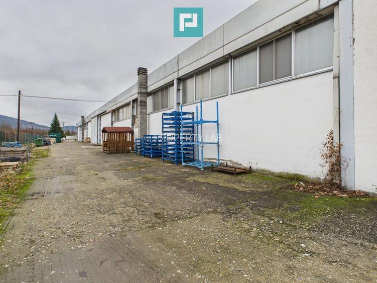 Hală cu teren intravilan de 3500 mp, în Sebiș Arad - 6