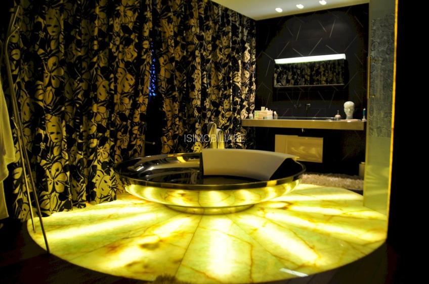 PENTHOUSE UNICAT vedere parc si la lac Herastrau - 17