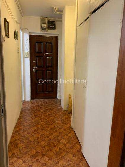 Garsoniera Teiul Doamnei - 8