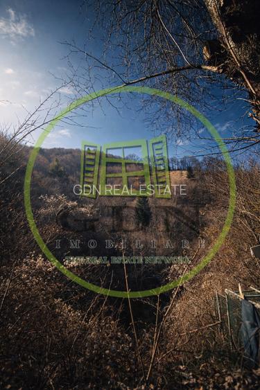 Pădure de vânzare în Scheii Brașovului 2 hectare de natură Brașov Schei - 11