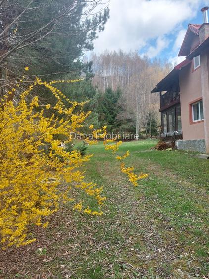 CASĂ DE VACANȚĂ 5 CAMERE,POINANA MĂRULUI, JUD.CARAȘ-SEVERIN - 2