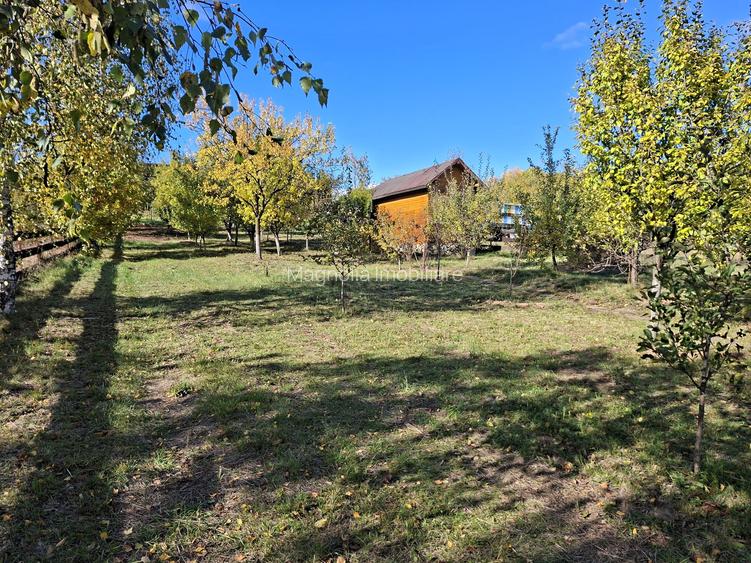 Priveliste de vis, 5 camere + anexe, teren 7000 mp, gata de mutat - comision 0%! - 3