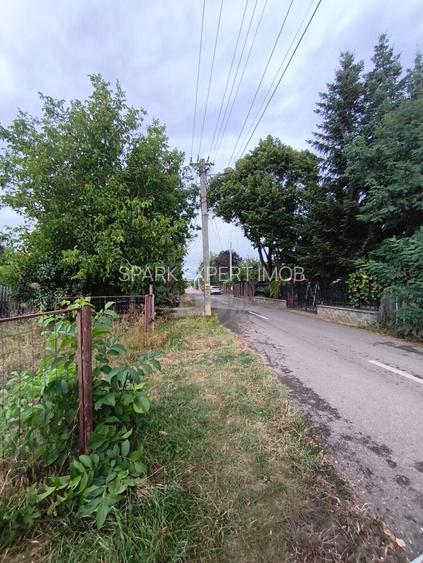 TEREN PAULESTI//17211 MP// INTRAVILAN - 4