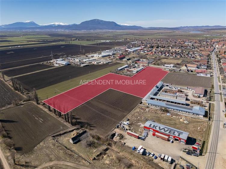 FILM! 30.000mp teren intravilan, Central, Halchiu, Brasov - 9