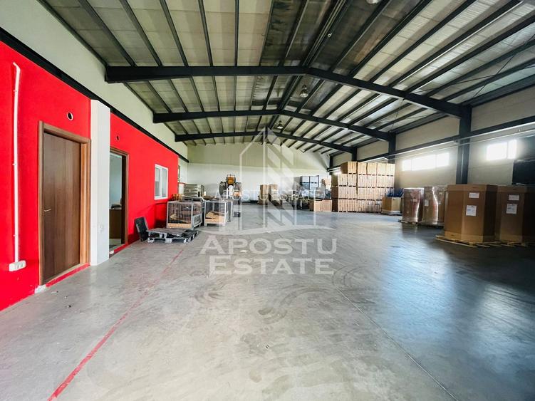 Hala industriala de inchiriat 600mp/micalaca - 3
