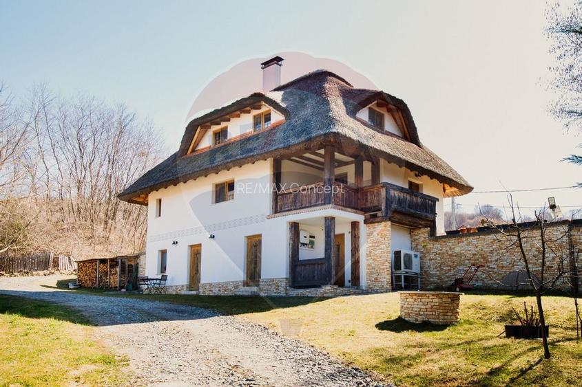 Casă cu arhitectura traditionala romaneasca I Salicea I Cluj - 23