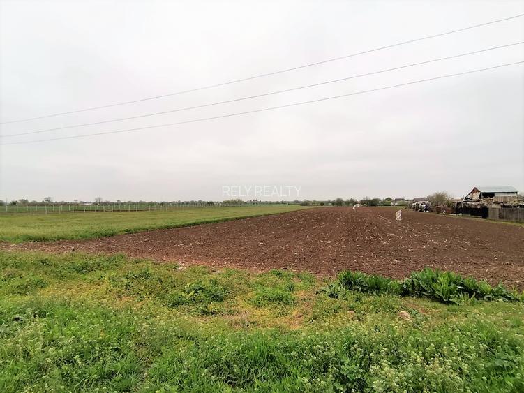 Teren Caracal / Str. Salcamului, 3.585 mp, 7 EUR / mp, comision 0% - 6
