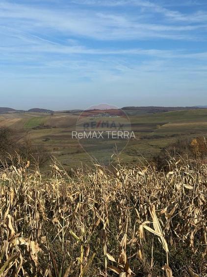 DE VANZARE - TEREN agricol - 2