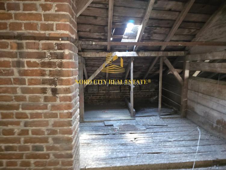 Vila - Ferdinand - Armeneasca -Pache Protopopescu - 19