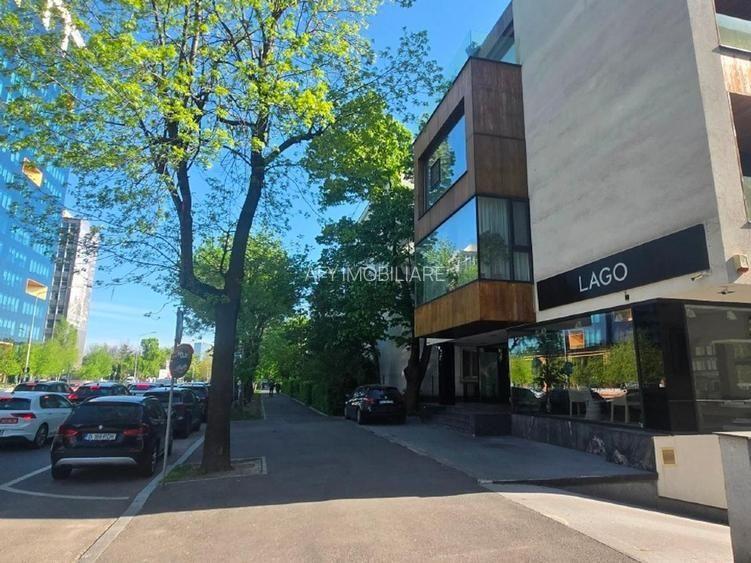 Showroom/Spatiu Comercial Spectaculos vis a vis One Eliade Floreasca - 10