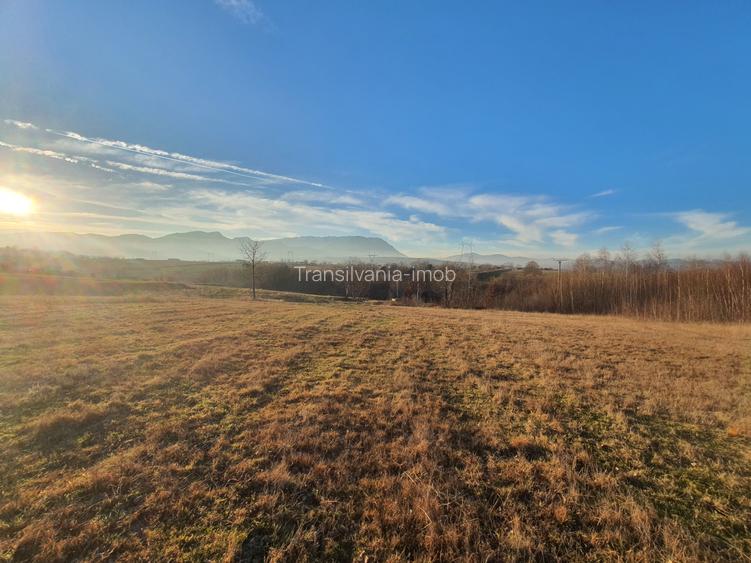 Teren intravilan Bran – Sohodol zona de case - 8