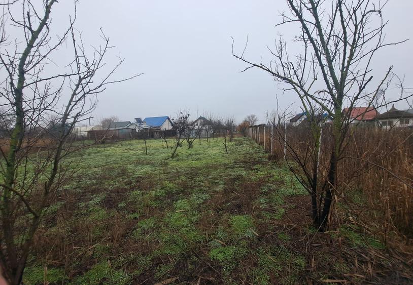 Delta Dunarii - Ilganii de Jos - casa cu deschidere la Dunare