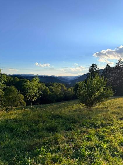 🏔️ TEREN INTRAVILAN DE VÂNZARE – BRAN | 9.085 MP | PRIVELIȘTE PANORAMICĂ | UTIL
