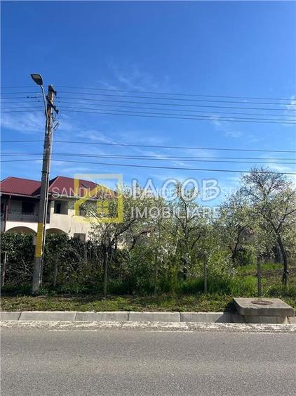 Teren intravilan 2554 mp, com. Prajesti, jud. Bacau - 7
