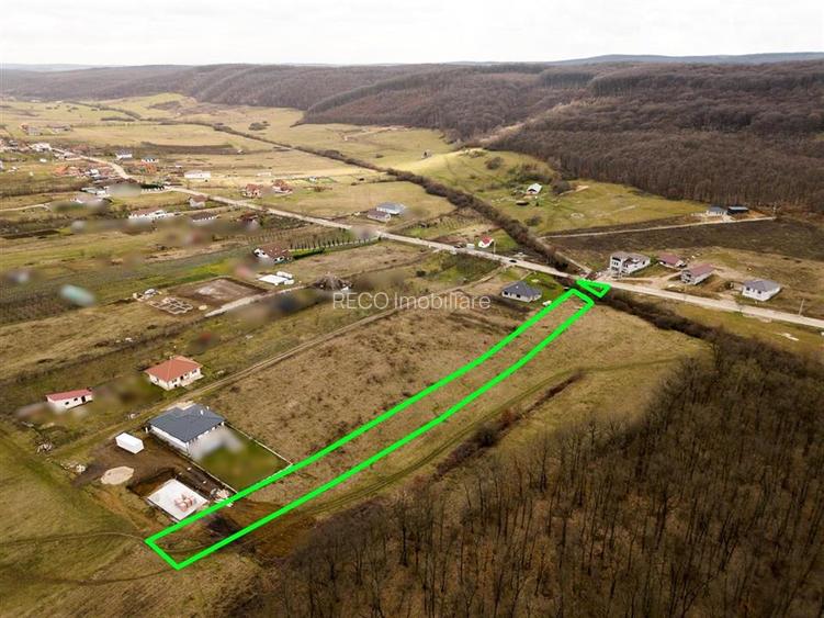 RECO teren intravilan Betfia – ideal pentru casa sau investitie - 3