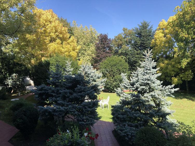 PROPRIETATE CU ENERGIE PURA |  Sanctuarul Eleganței și Rafinamentului - 23