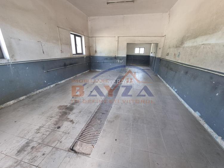 Hala 321 mp plus teren 1309 mp la intrarea in Baia Sprie - 7