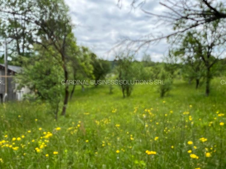 Breaza - Ocina de sus - 4200 mp - 4