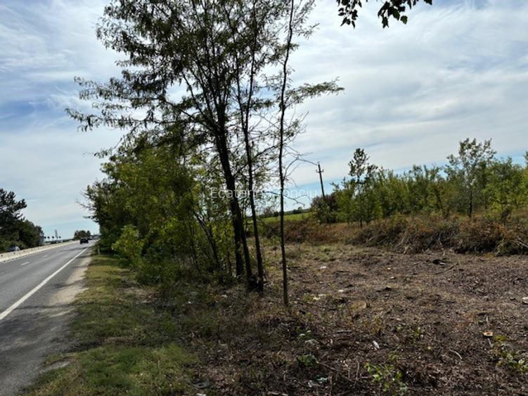 Teren de vanzare -32.130mp cu deschidere 105m la DN1, Ciolpani, cu PUZ. - 3