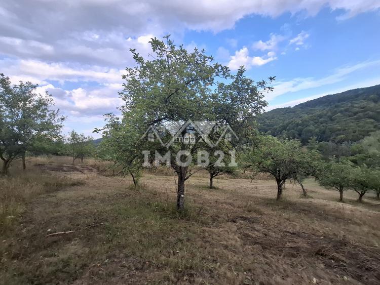 Teren spectaculos cu padure, livada si priveliste panoramica in Soimari PH - 4