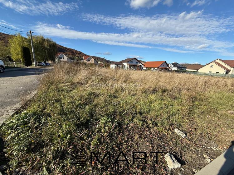 Teren intravilan 600 MP zona  Bența - 3