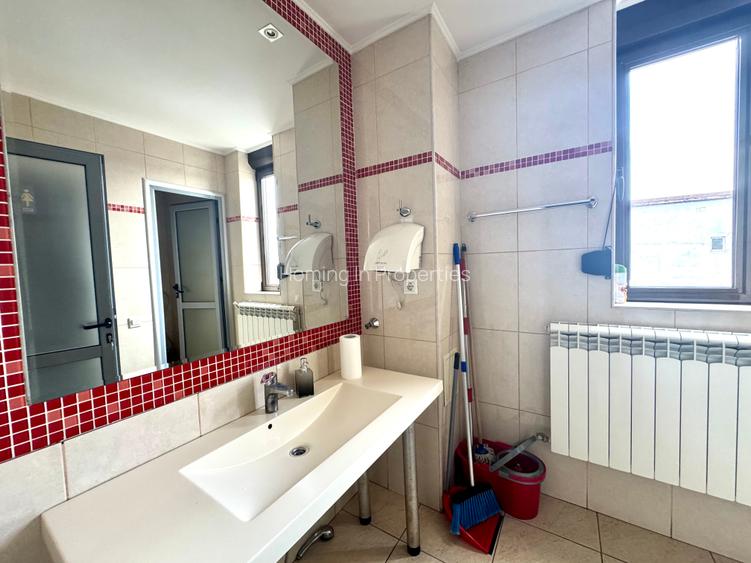 Business Hub Petre Ispirescu - 6 camere - 18