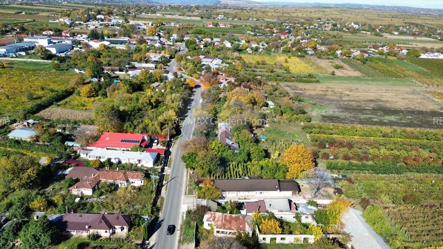 Casă Tifesti teren si vie - 34