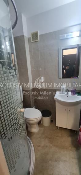 Birouri Vila/Casa S+P+3 Obor Stefan cel Mare Mosilor - 6