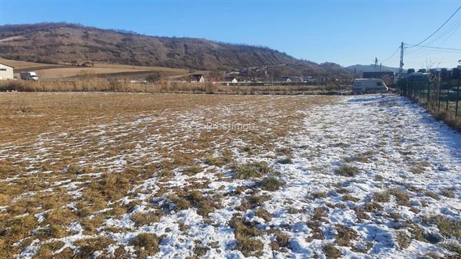 Teren Ivanesti-Livezeni 4300 mp - 5