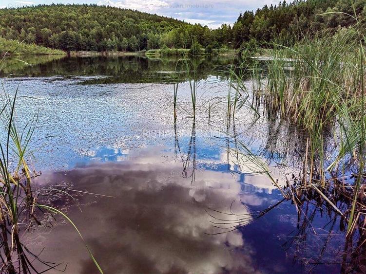 RATE Pensiune Piscina Superba***pe mal Lac Mocearu  70km de Buzau - 72