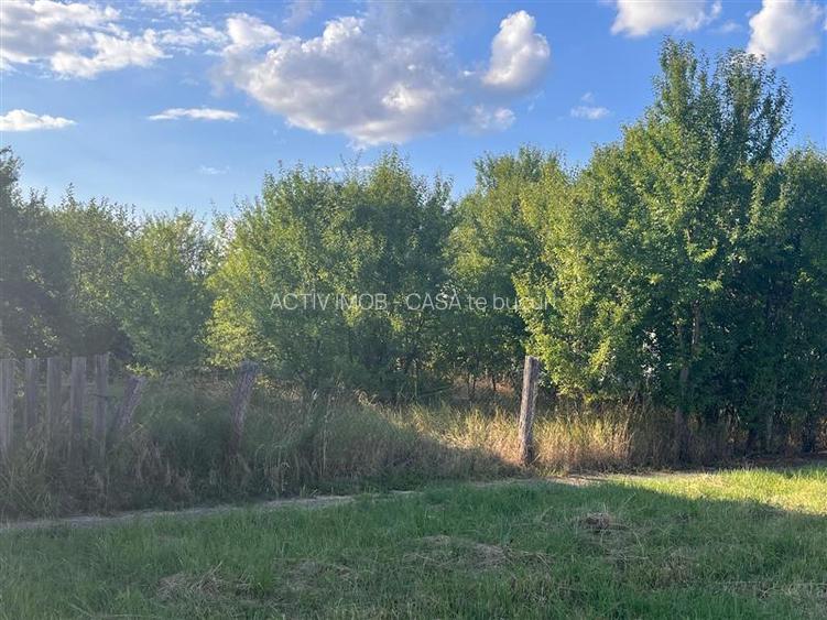 Darova, Teren Intravilan 1060 Mp., Str. Principala - 6