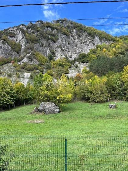 Teren de vânzare în Lepșa – ideal pentru pensiune sau casă de vacanță - 5