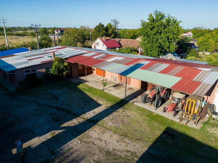Hală industrială cu multiple destinații în Nădlac - 53