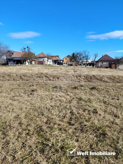 Ocazie/ Teren de vanzare in FELEAC - 2