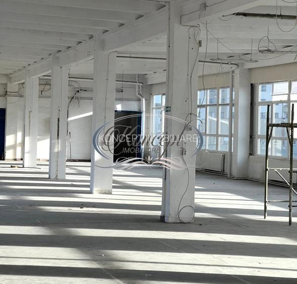 Hala depozitare/productie in Piata 1 Mai - 8