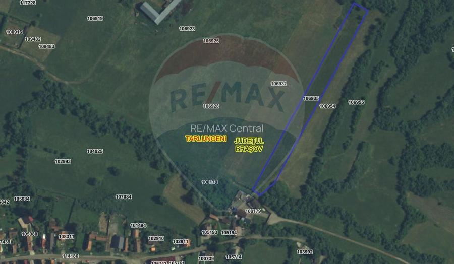 Teren 5.800 mp Purcareni curent, gaz, apă / Strada 30 decembrie - 9