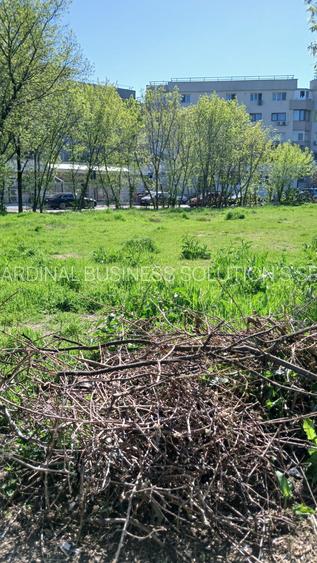 Herastrau - Aviatiei - str. Smaranda Braiescu, teren 1155 mp - 2