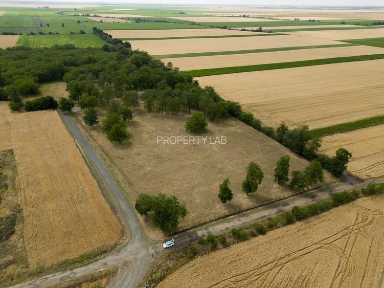 Teren intravilan Șofronea - 2