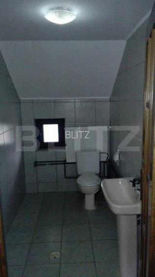 Proprietate 10 camere pentru investitie, teren 1320 mp, Comuna Mociu - 17