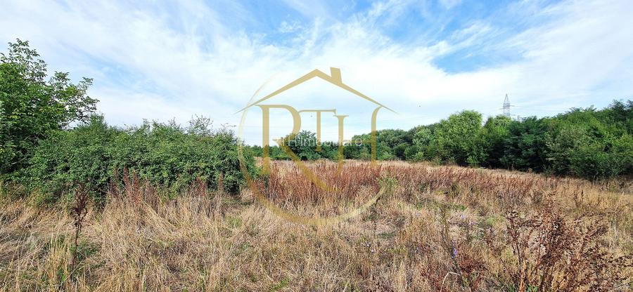 Teren de vânzare – 11.273 mp – zona Plopi, Timișoara Sud. - 3