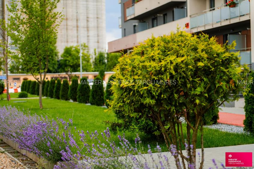 Maurer Residence Targu Mures - 18