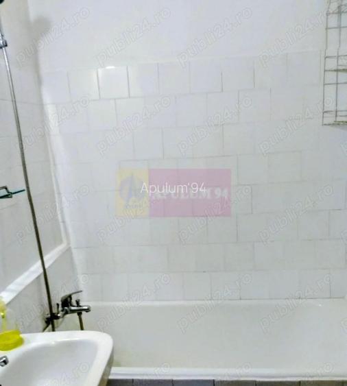 Vanzare apartament 2 camere in Drumul Taberei - 13