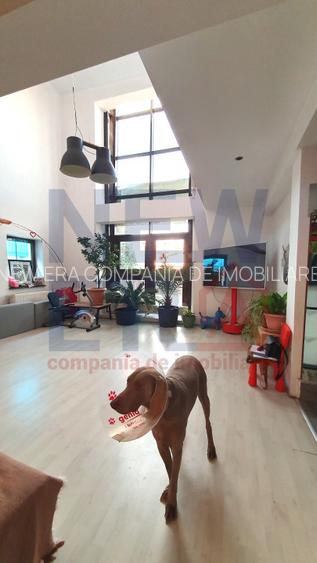 Casa de VANZARE in sector 5 Str. Antiaeriana resedinta sau after school - 7