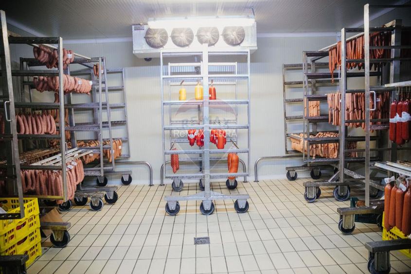 Spațiu industrial de 1,700mp de închiriat în zona Vasile Alecsandri - 12